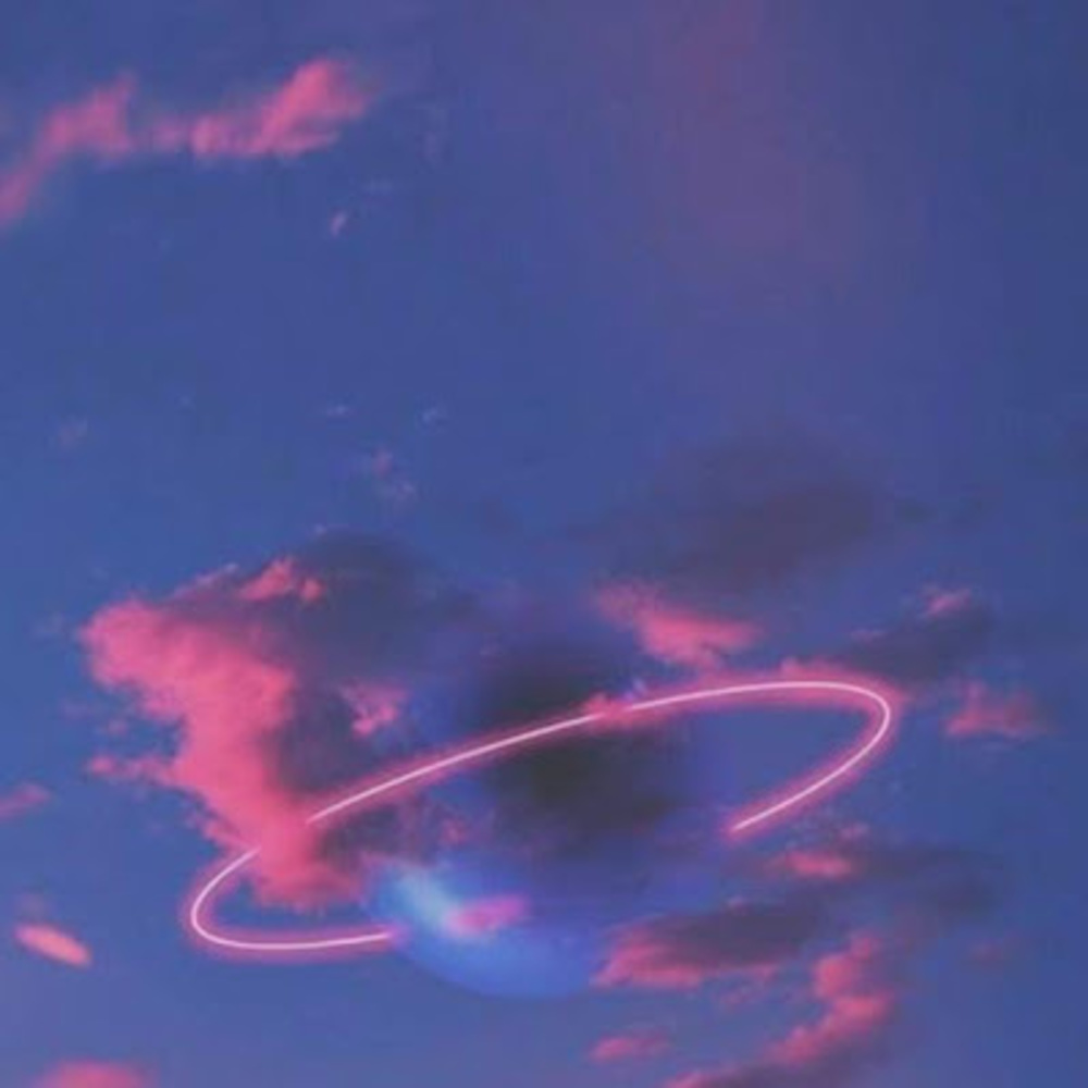 Meet your Posher, Joelle